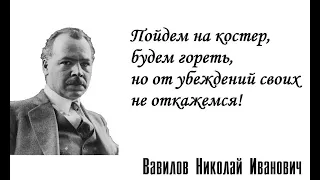 Академик Вавилов Николай Иванович