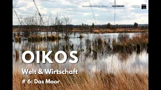 OIKOS. Welt & Wirtschaft #6 Das Moor