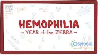 Hemophilia (Year of the Zebra)