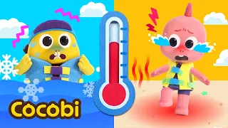 Hot vs. Cold Beach Song🥵🥶 + More BEST Kids Songs | Cocobi Nursery Rhymes