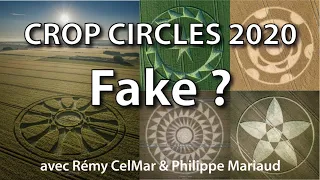 CROP CIRCLES 2020 : Fake ? - Philippe Mariaud