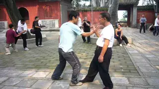 王傑老師 戒壇寺 推手