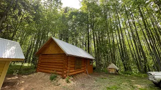 Log cabin in the wild forest. Finishing facade work. Alone surrounded by animals