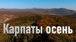 Beautiful carpathian mountains in autumn 🇺🇦  /  4K by drone /Карпати /Carpathians / Ukraine / 4k