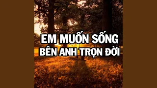 Hứa Thật Nhiều Thất Hứa Rồi Cũng Thật Nhiều (Beat Vinahouse Tone Nam)