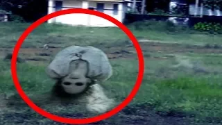 Top 6 Ghost Videos, Real Creepypasta, Scary Stories To Tell In The Dark | Scary Videos