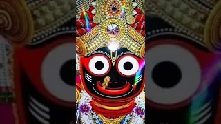 ratha Yatra status//Rk Creation new WhatsApp status#  🆕 video#samblpuri