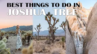 JOSHUA TREE Best Things to do in One Day