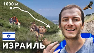 Израиль ДИКИЙ СПУСК С ВЕРШИНЫ