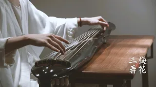 【古琴Guqin】《梅花三弄》Melody Plum blossom, version of Guang Ling school, played by silk strings丝弦 广陵传本