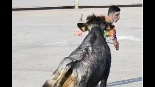 II Concurso Esencias de la calle en la  Vall d´uxo 2020