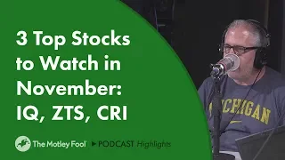 3 Top Stocks to Watch in November: IQ, ZTS, CRI