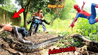 Team of Hunters Combine Spider-Man Catching Two Giant Snakes That Eat Humans | New Hunter