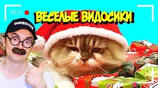 ВЕСЕЛЫЕ ВИДОСИКИ! 6 МИНУТ СМЕХА(ИЛИ НЕТ)