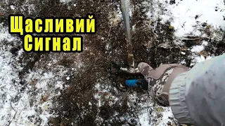 Знахідки від яких хочеться жити, випадково знайшов у лісі .Коп 2023 з металошукачем в Україні