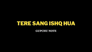 Tere sang ishq hua lyrics | Tere sang ishq hua  black screen lyrics |@Gupchunote