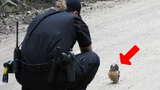 Baby Owl Suddenly Blocked The Police And Bow To Her, Then She Was Shocked To Found The Reason Why...