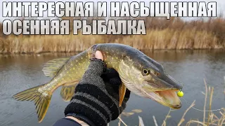 Интересная и насыщенная осенняя рыбалка 🎣