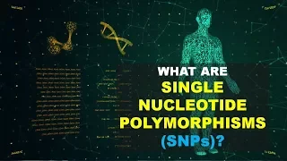 SNPs (Single Nucleotide Polymorphism)0 (Better Explained)
