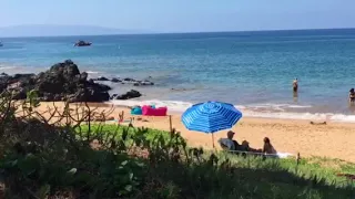 Snorkeling at Kam III beach with Maui Kamaole B201