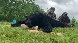 Black Bear New Brunswick 2019