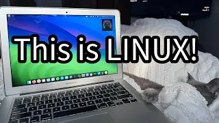 Noob Guide to Installing Linux Mint on 2014 MacBook Air