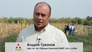 Які гібриди кукурудзи mais-seeds.com сіє фермер у Донецькій області