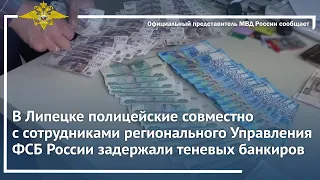 Ирина Волк: В Липецке полицией и сотрудниками регионального УФСБ России задержаны теневые банкиры