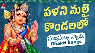 Subramanya Swamy Devotional Songs | Palani Malai Kondalalo Song | Bhakti | Amulya Audios And Videos