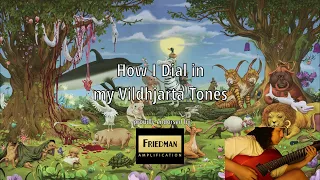 How I Dial in My Vildhjarta Tones