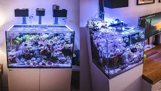 Red Sea Reefer 250 Update and Waterbox 20 Tank Upgrade?!?