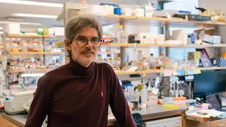 Luciano Marraffini | Vilcek Prize in Biomedical Science