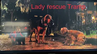 Lady and the Tramp (2019) lady rescue Tramp