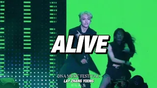 [4K Fancam] 231004 | DNA Music Festival : Alive - LAY Zhang Yixing 张艺兴