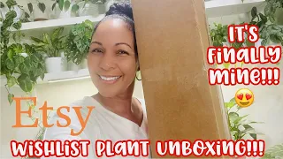 Wishlist Plant Unboxing || Etsy || It's Finally Mine!!!