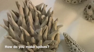 Ceramic Reef response