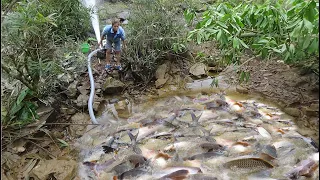 Catching wild fish - Catch a lot of fish in the lake-Fishing Techniques- fishing video - stream fish