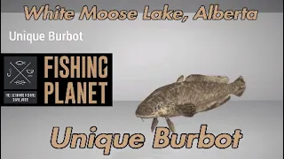 Unique Burbot - White Moose Lake, Alberta - Fishing Planet Guide