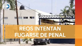 Tras detención de Ovidio Guzmán reos intentan fugarse del penal de Aguaruto