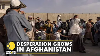 Desperation grows among Afghans for evacuation after Taliban's takeover of Kabul | English News