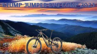 Stump jumper evo comp 2023 #stumpjumper