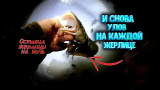 ✔ Это место КИШИТ ХИЩНИКОМ! Снова улов на каждую жерлицу Не зря я оставил жерлицы на ночь!👍