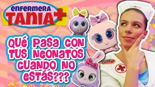 Qué pasa con tus neonatos cuando no estás? - Enfermera Tania - Distroller