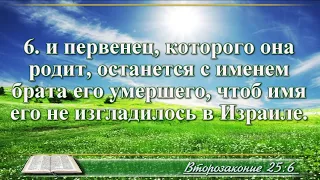 ВидеоБиблия Книга Второзаконие с музыкой глава 25 Бондаренко