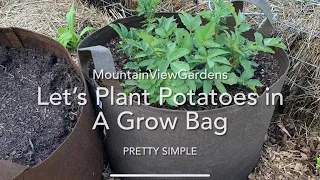 Let’s Plant Potatoes in a Grow Bag