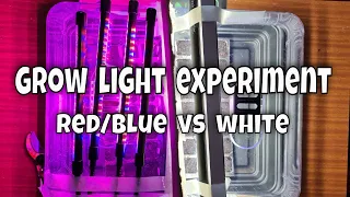 Do Grow Lights REALLY WORK? Grow Light Experiment / MoggyBoxCraft