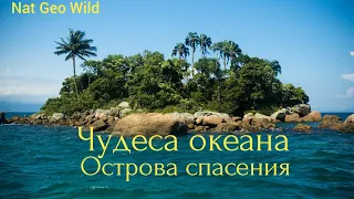 Nat Geo Wild.Чудеса океана. Острова спасения.