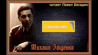 Собачий нюх — Михаил Зощенко  —читает Павел Беседин