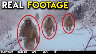 UNBELIEVABLE Trail Cam Footage Compilation