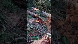 Heli Falling | WoodBoss.ca